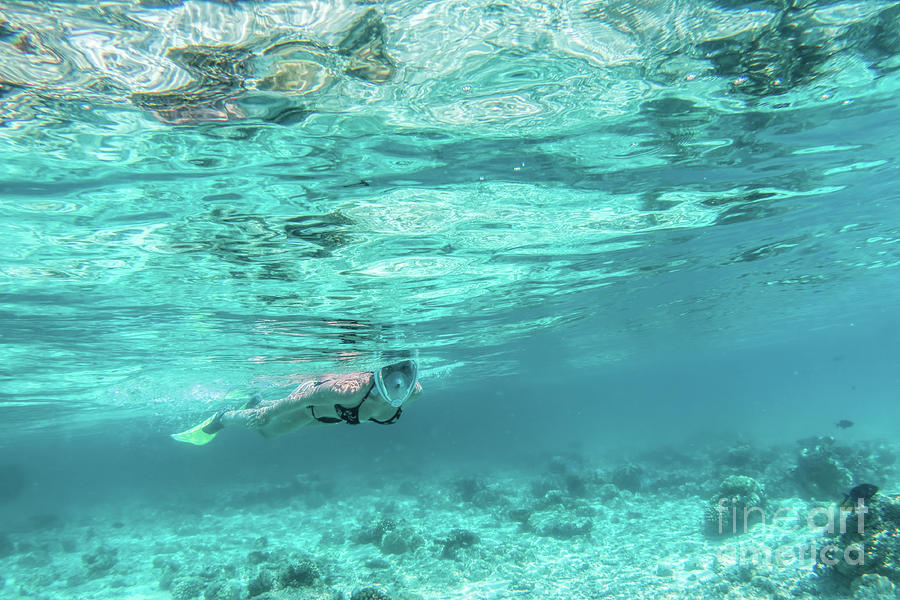 Woman snorkeling underwater in Indian Ocean, Maldives #2 Photograph by Michal Bednarek