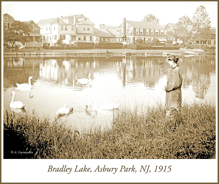 Woman, Swans, Bradley Lake, Asbury Park, New Jersey, 1915 #1 Photograph by A Macarthur Gurmankin