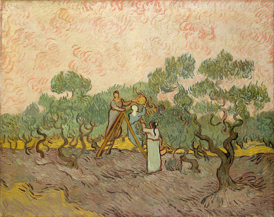 Women Picking Olives #3 Painting by Vincent van Gogh