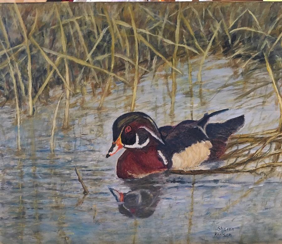 Wood Duck Painting by Sharon Karlson - Fine Art America