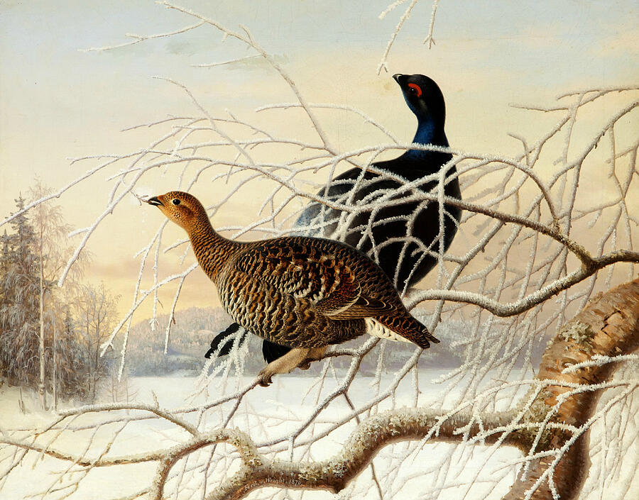 Wood Grouse Couple #2 Painting by Ferdinand von Wright