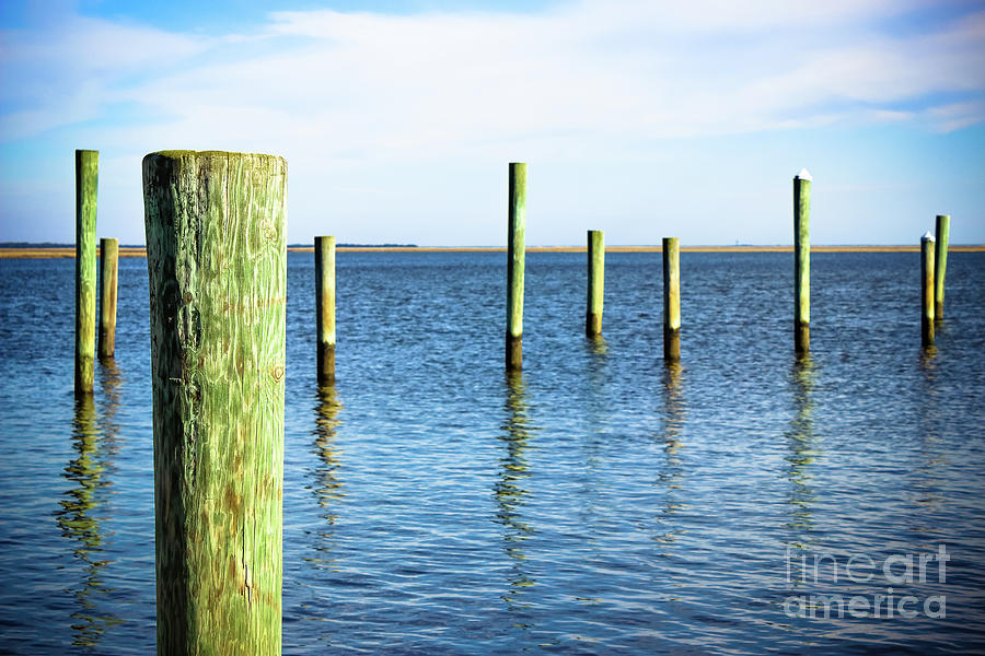 Wood Pilings Photograph by Colleen Kammerer