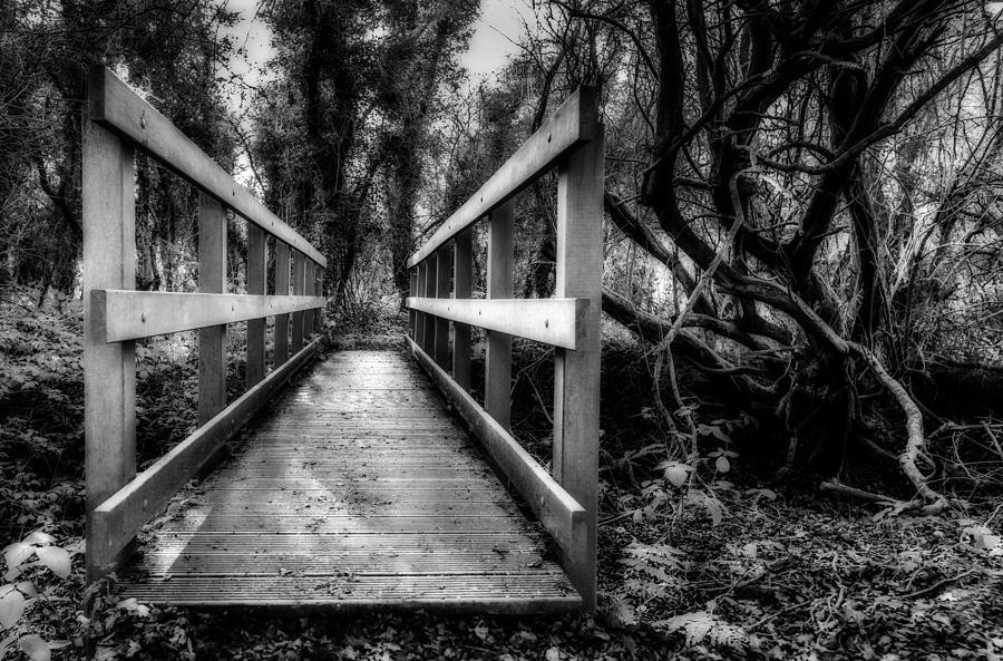 Wooden Bridge #1 Photograph by Nick Bywater