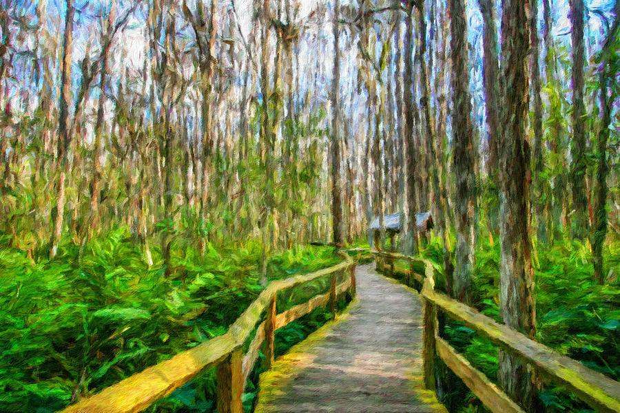 Wooden Deck in the Everglades, Florida #1 Digital Art by Miroslav Liska
