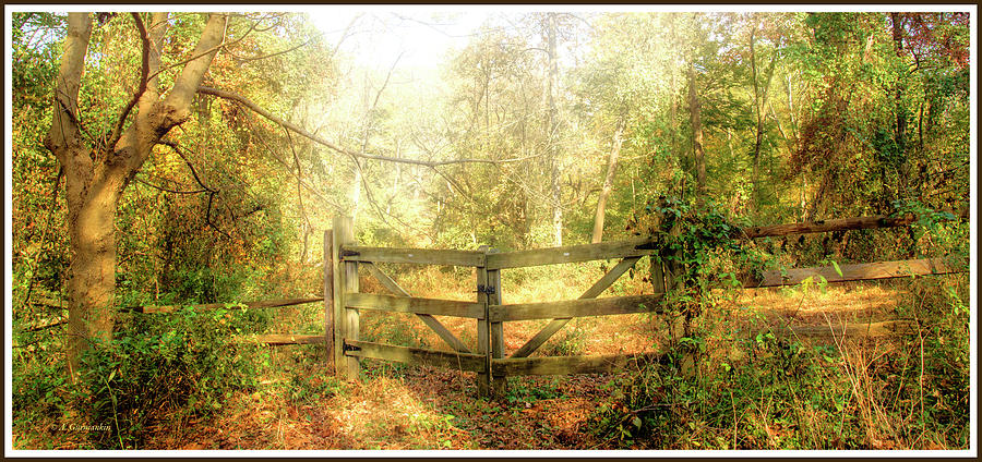 Wooden Fence by a Rural Road, Autumn #1 Photograph by A Macarthur Gurmankin