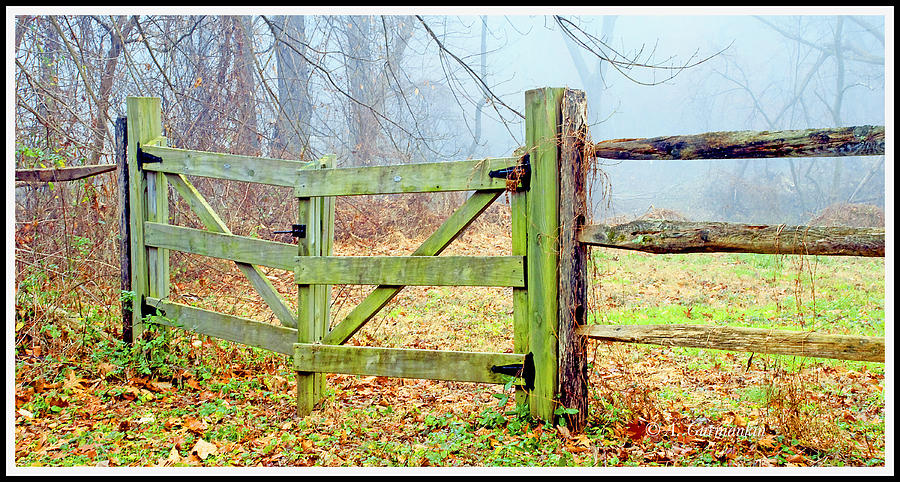 Wooden Fence on a Foggy Morning #1 Photograph by A Macarthur Gurmankin