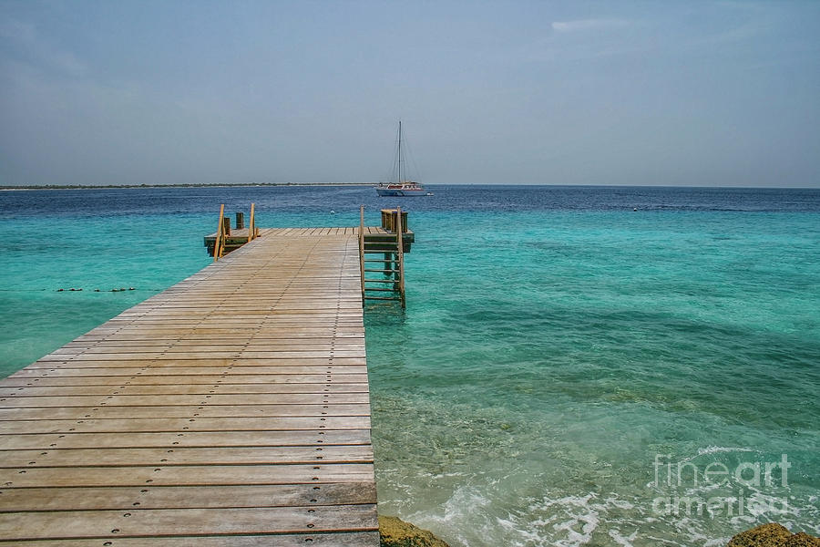 Wooden jetty in Caribbean ocean Photograph by Patricia Hofmeester