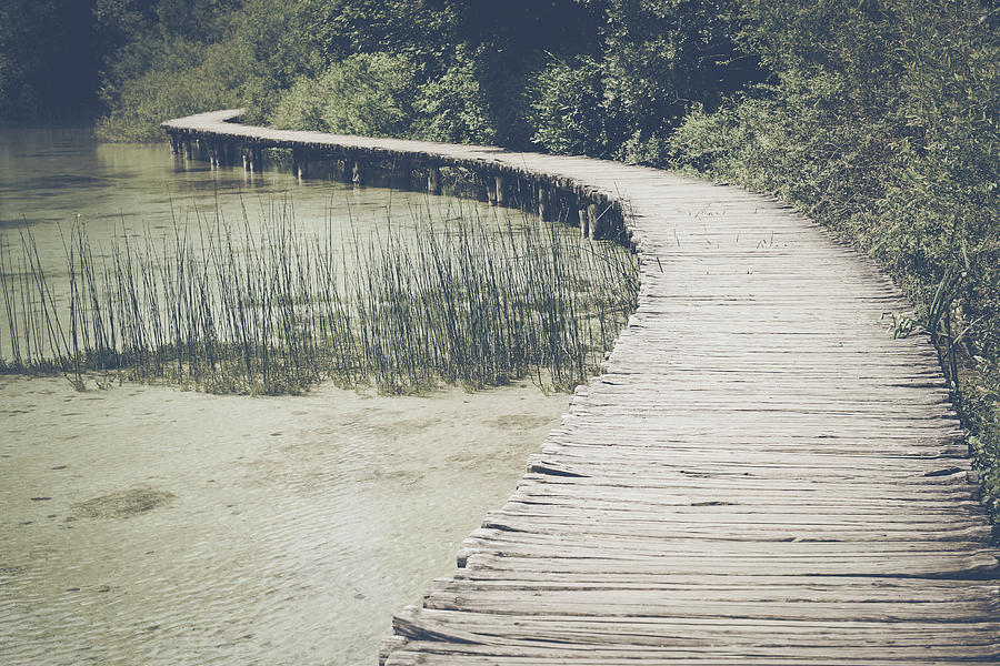 Wooden Trail in Forest in Retro Instagram Style Filter #1 Photograph by Brandon Bourdages
