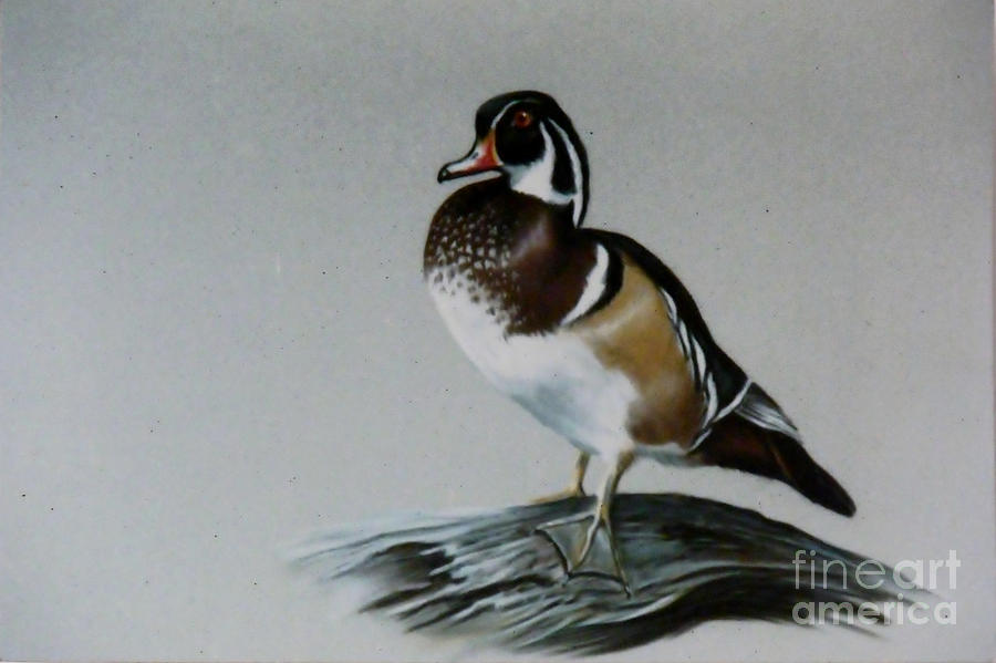 Duck Painting - Woodie by Lynne Parker