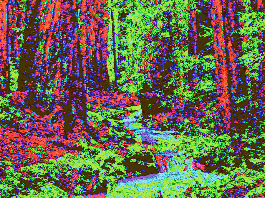 Woodland Forest d5 Digital Art by Modified Image - Fine Art America