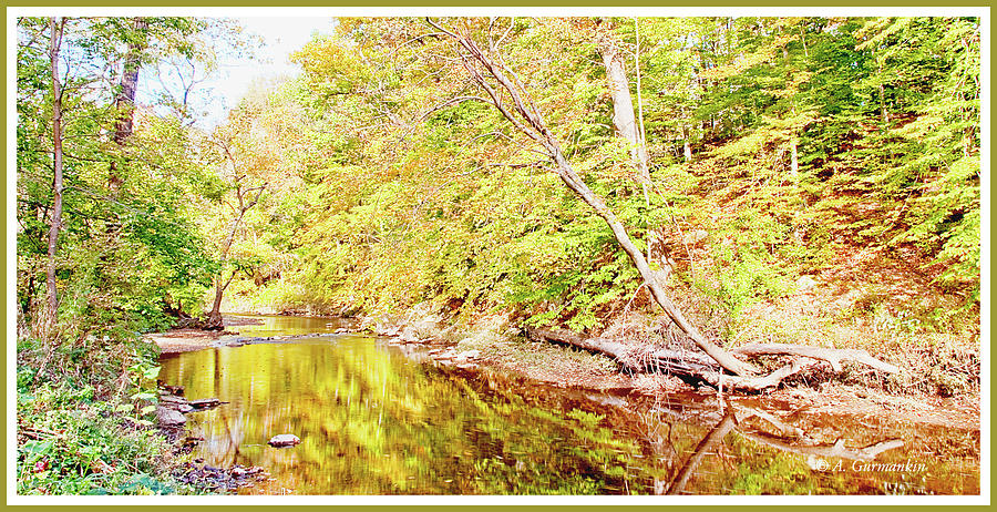 Woodland Stream, Early Autumn, Montgomery County, Pennsylvania #1 Photograph by A Macarthur Gurmankin