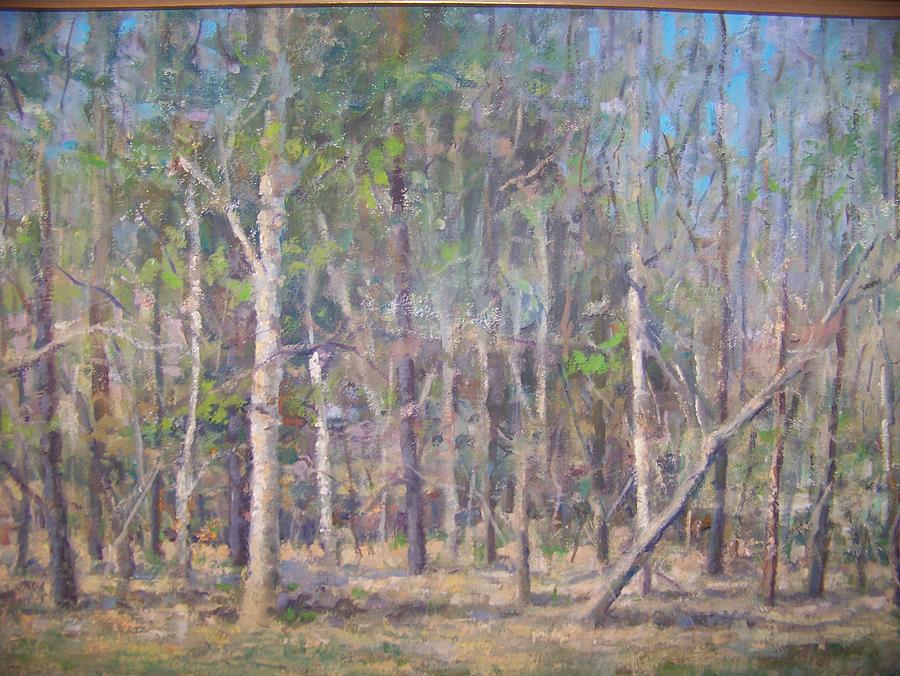 Woods #1 Painting by Bart DeCeglie