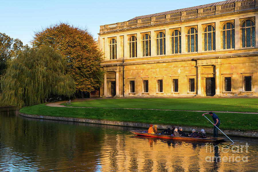 Wren library  #2 Photograph by Andrew Michael