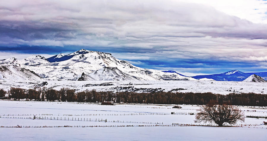 Wyoming Winter Vista #1 Photograph by Mountain Dreams