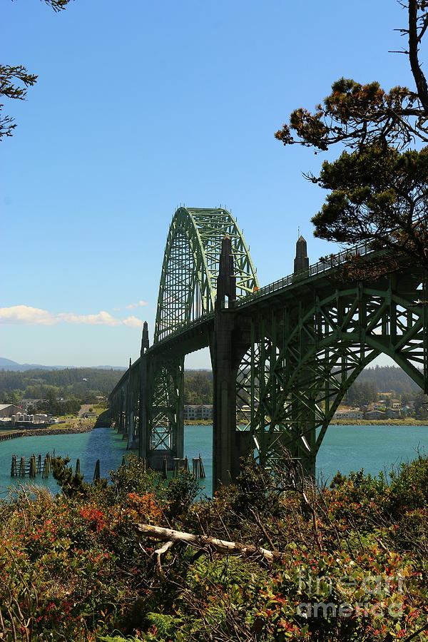Yaquina Bay Bridge  #3 Photograph by Christiane Schulze Art And Photography