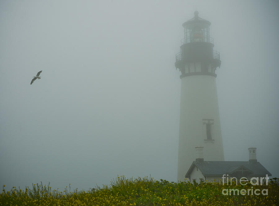Yaquina Head Lighthouse #2 Photograph by Nick Boren