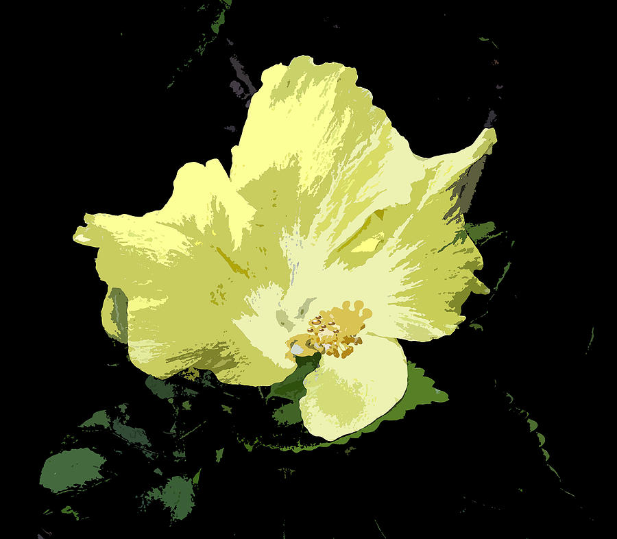 Yellow Beauty #1 Digital Art by Karen Nicholson