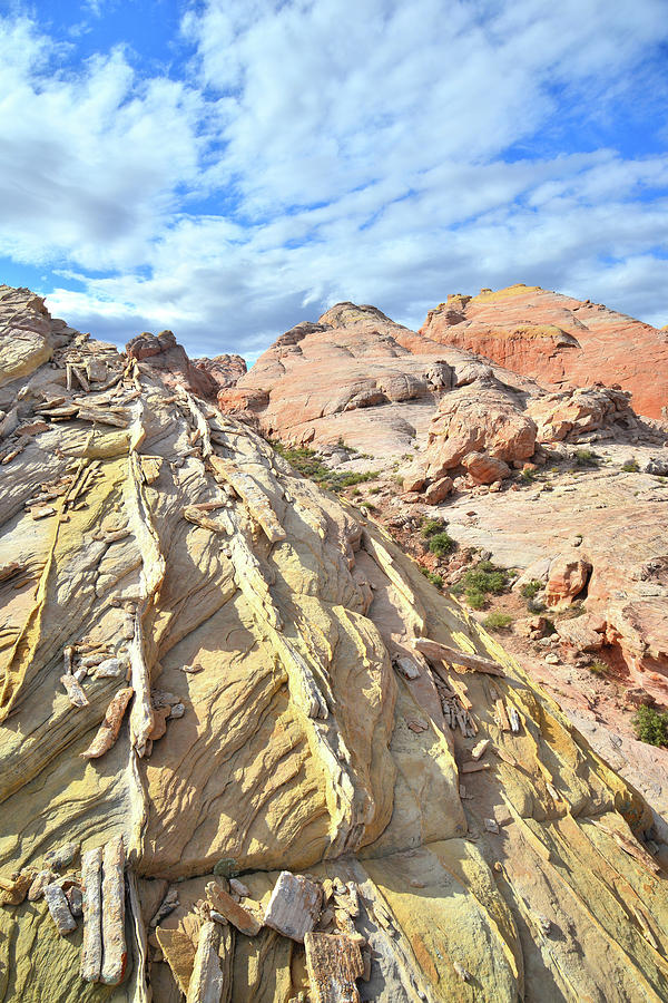 Yellow Brick Road in Valley of Fire #1 Photograph by Ray Mathis