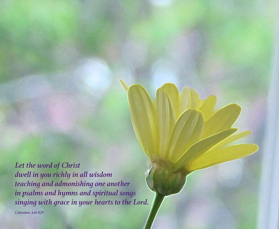 Yellow Daisy With Bible Verse Photograph by Lynn Harrison