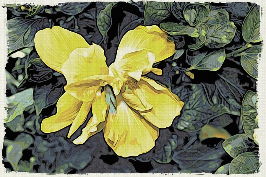 Yellow Hibiscus #2 Photograph by Mark J Dunn