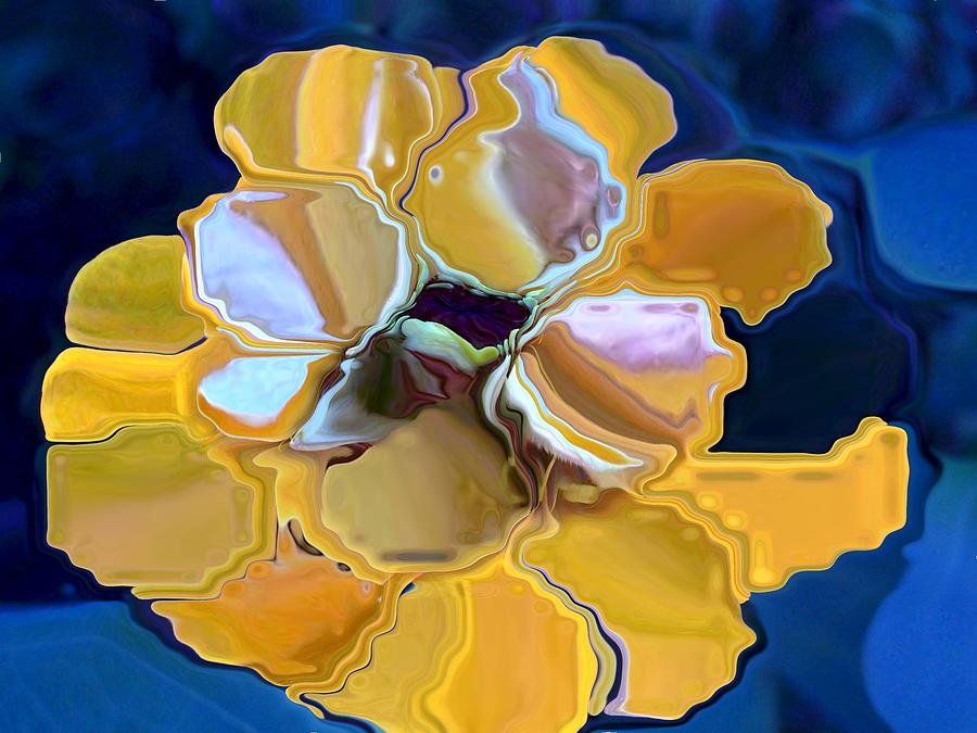 Abstract Photograph - Yellow Jacket #1 by Patricia A Williams