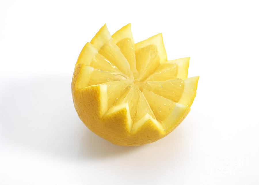 Yellow Lemon Citrus X Limon #1 Photograph by Gerard Lacz