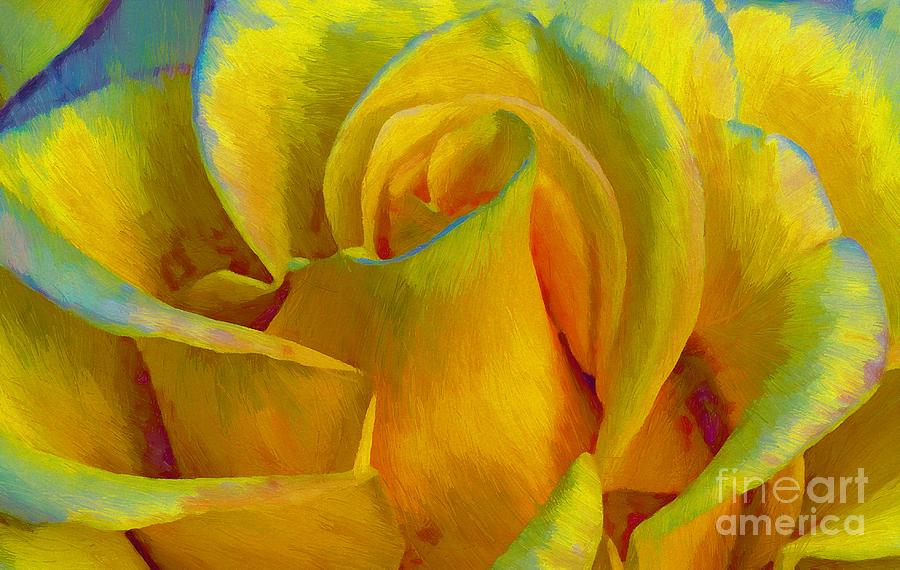 Yellow Rose #2 Photograph by John  Kolenberg