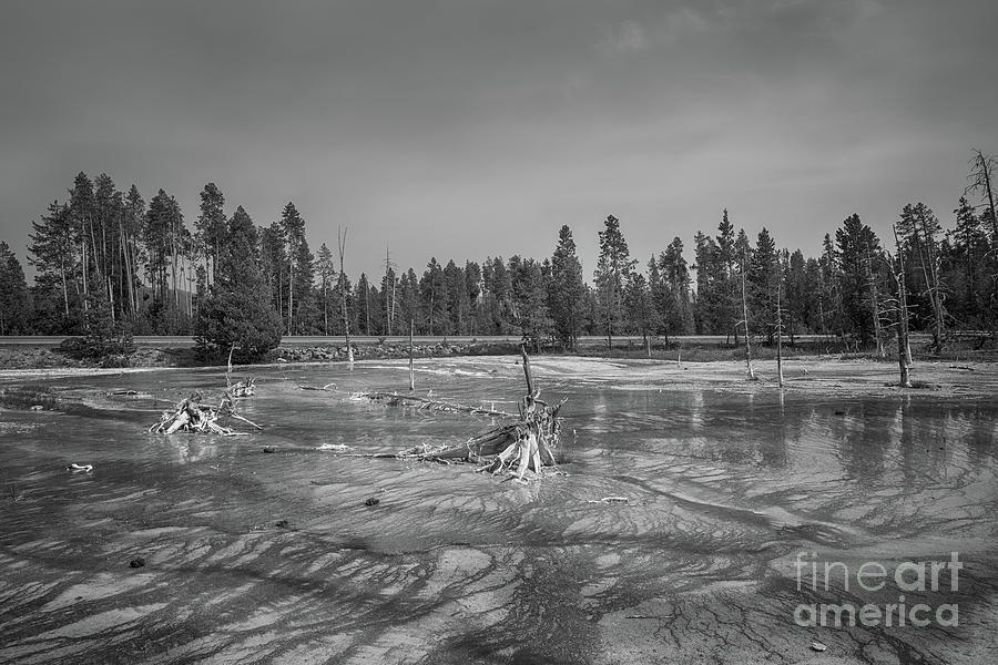 Yellowstone National Park Photograph - Yellow Stone National Park  #1 by Michael Ver Sprill