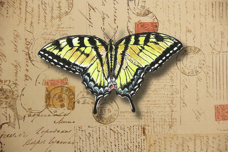 Yellow Swallowtail Butterfly #2 Mixed Media by Masha Batkova
