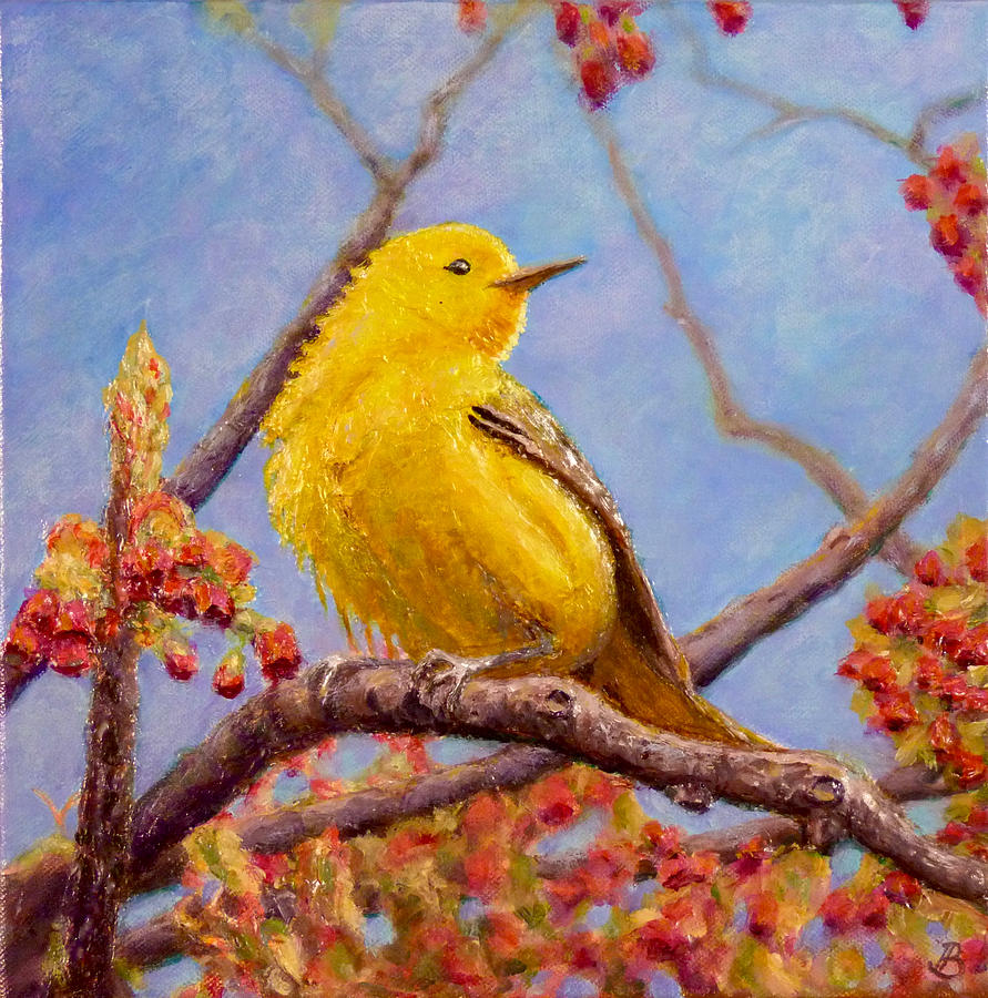 Yellow Warbler #1 Painting by Joe Bergholm