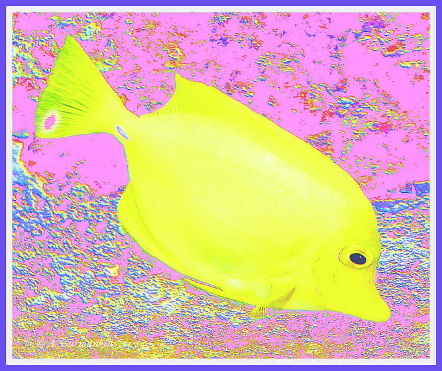 Yellowc Tang, Surgeon Fish #1 Digital Art by A Macarthur Gurmankin