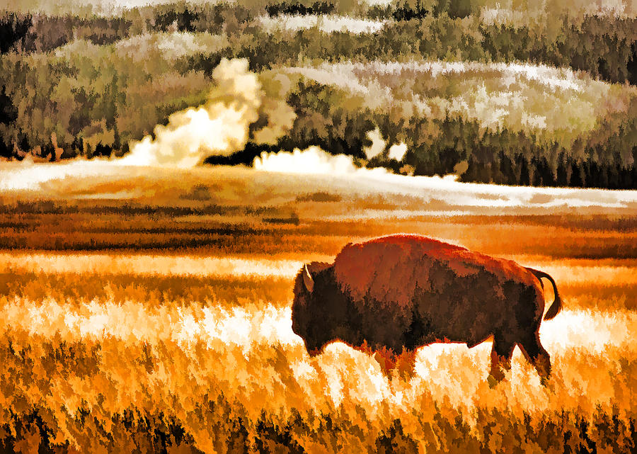 Yellowstone Bison Photograph by Dennis Cox