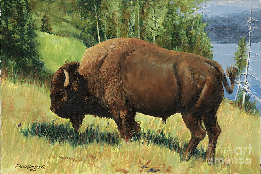 Yellowstone National Park Painting - Yellowstone Buffalo by Don Langeneckert