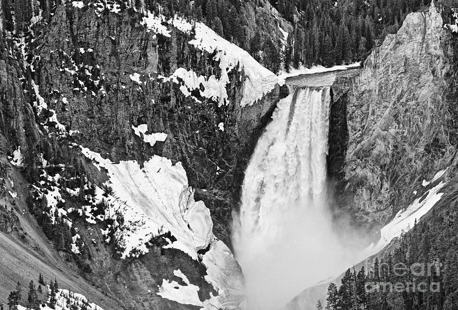 Yellowstone National Park Photograph - Yellowstone Falls from Lookout Point. #1 by Jamie Pham