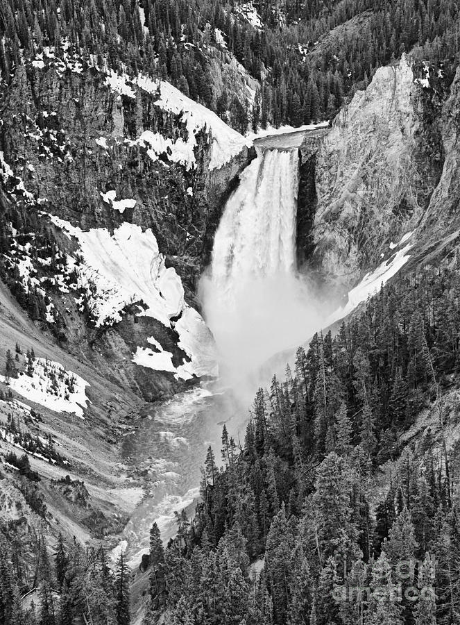 Yellowstone National Park Photograph - Yellowstone Falls in Spring Time #1 by Jamie Pham