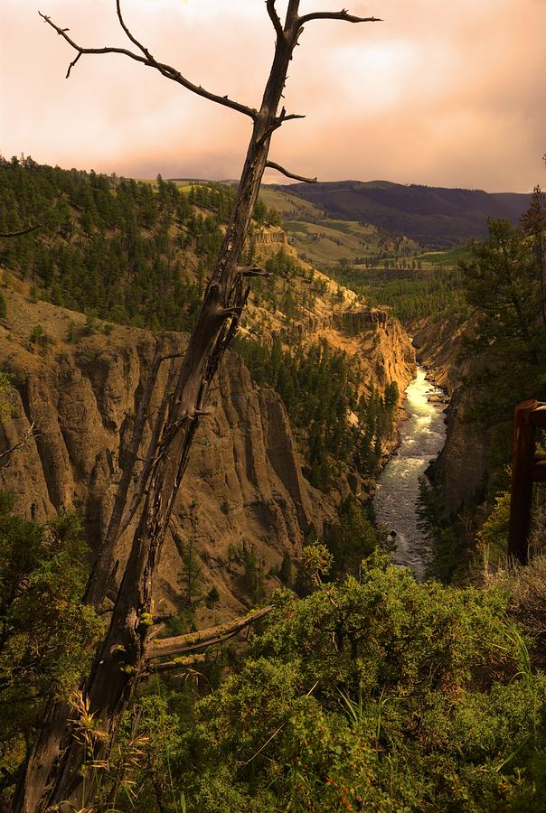 Yellowstone River #1 Photograph by Patrick Flynn - Pixels