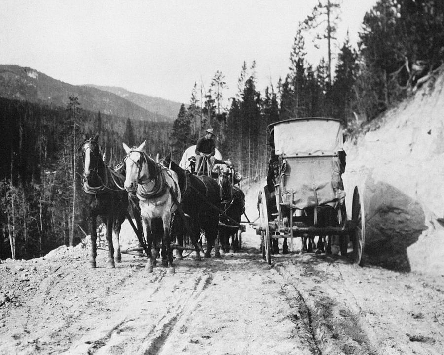 Yellowstone: Traffic Photograph by Granger - Fine Art America