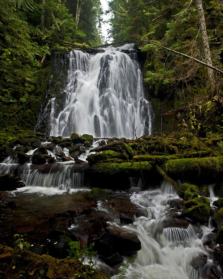 Waterfall Photograph - Yocum Falls Oregon #1 by Ulrich Burkhalter