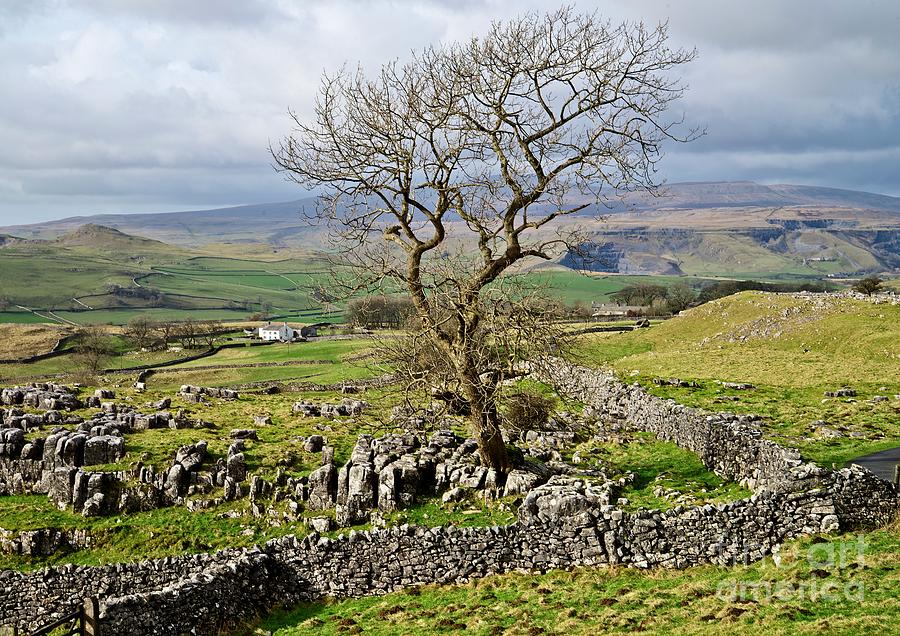 Yorkshire Dales Landscape #1 Photograph by Martyn Arnold
