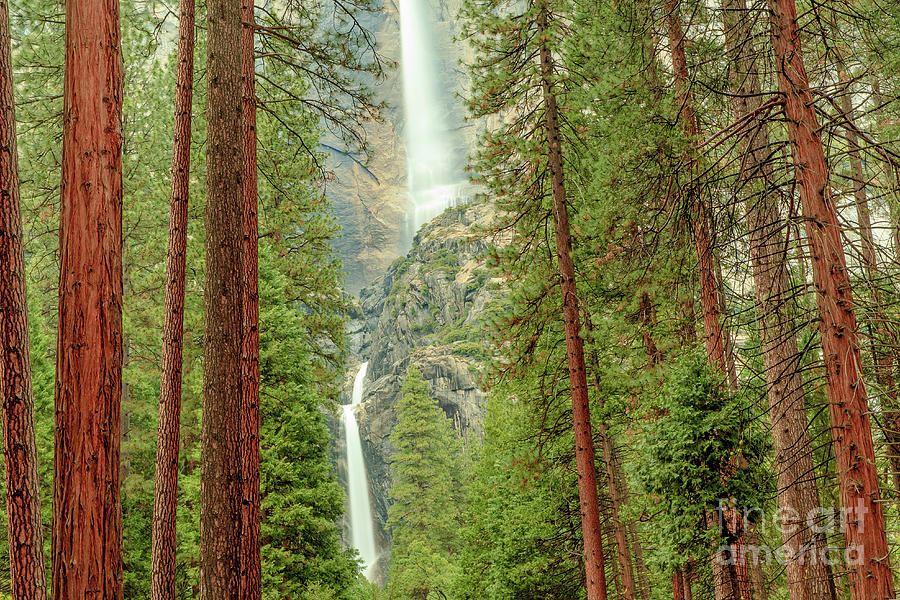 Yosemite Falls #1 Photograph by Ben Graham