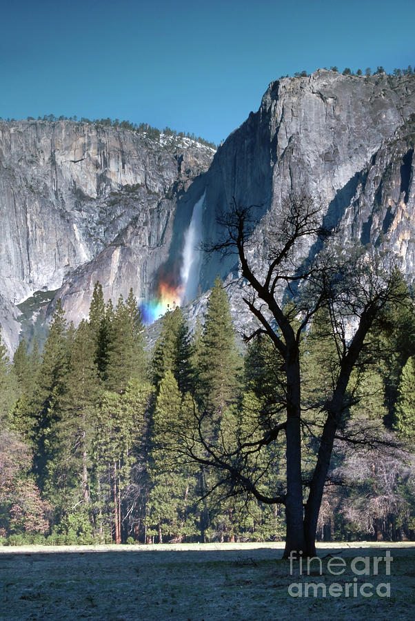 Yosemite Falls rainbow #1 Photograph by Richard Verkuyl