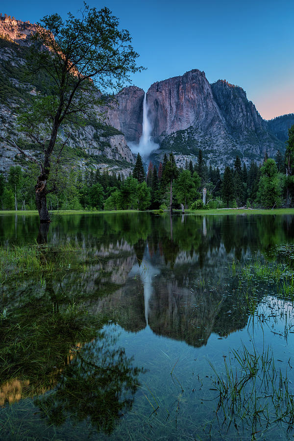 Yosemite Falls Reflection #1 Photograph by Doug Holck