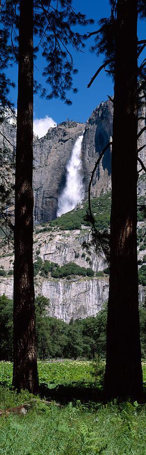 Yosemite Falls Yosemite National Park #1 Photograph by Panoramic Images