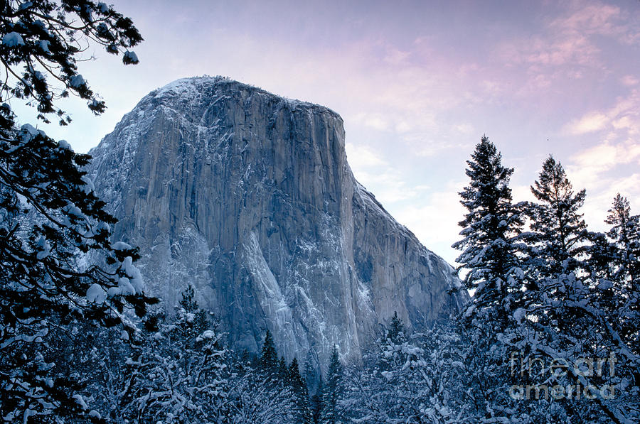 Yosemite National Park #3 Photograph by George Ranalli