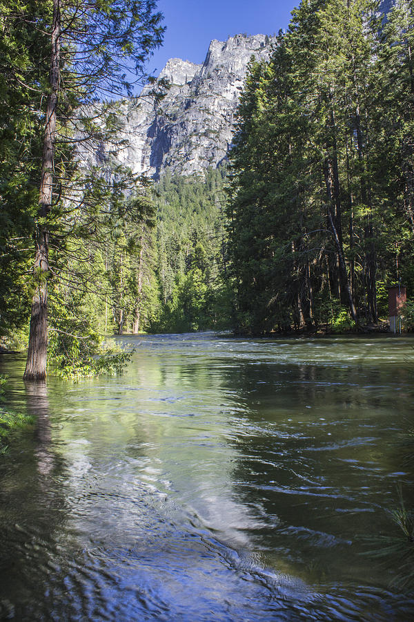 Yosemite Stream  #1 Photograph by John McGraw
