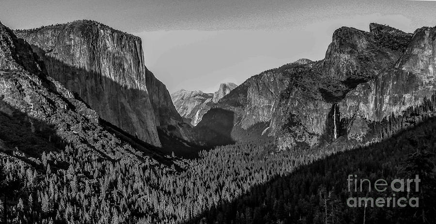 Yosemite Valley Photograph by Barry Bohn