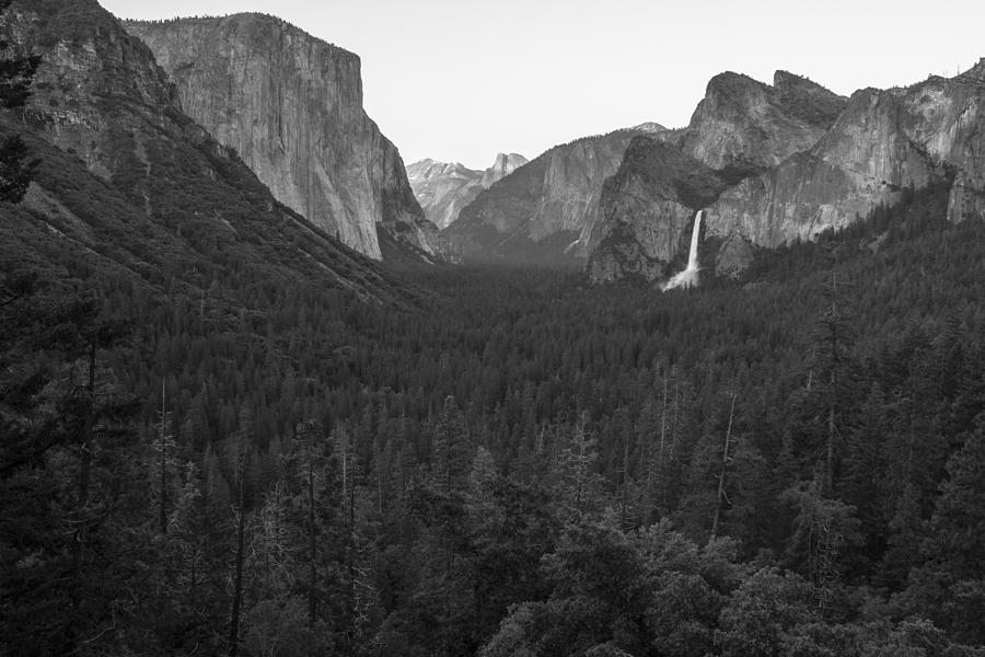 Yosemite Valley Black and White  #1 Photograph by John McGraw
