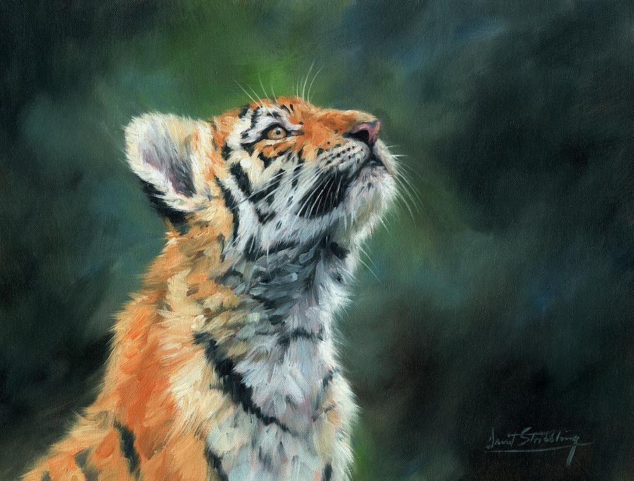 Young Amur Tiger #1 Painting by David Stribbling