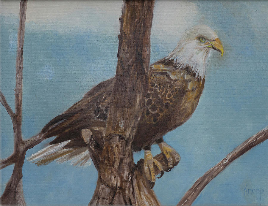 Young Eagle #2 Painting by Kathy Knopp