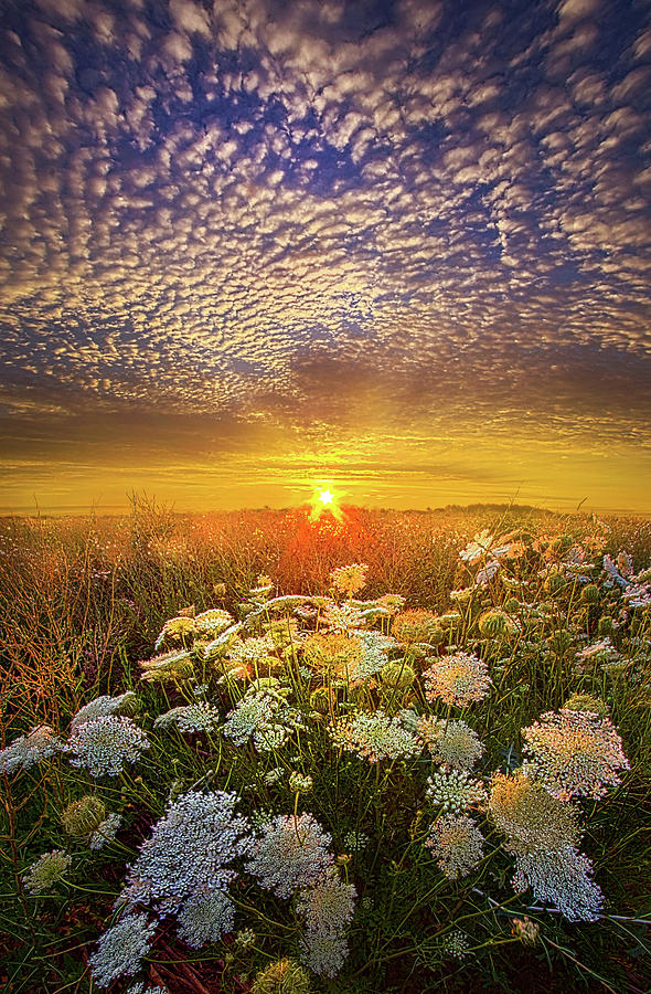 Your Whisper Tells A Secret #1 Photograph by Phil Koch